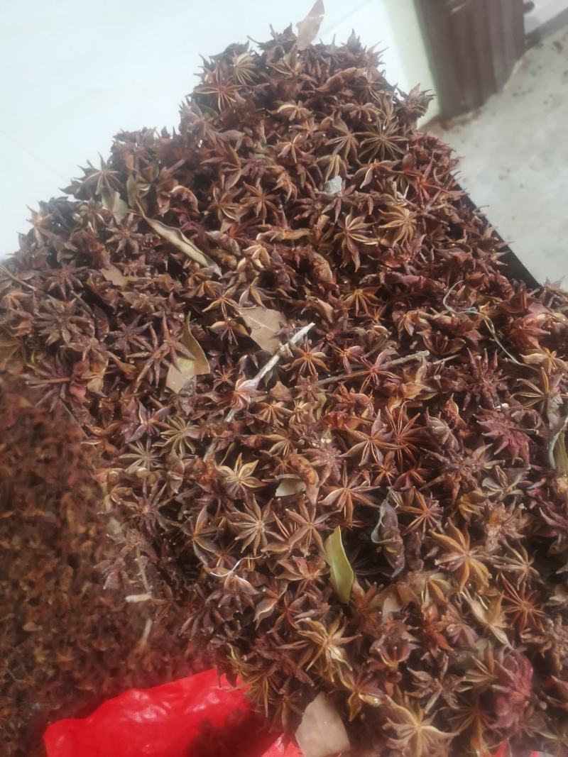 莽草（野八角），大量供应，品质保证，需要的老板联系，量大