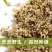 山西特产麻麻花100克泽蒙摘麻花扎蒙花山葱麻麻花包邮