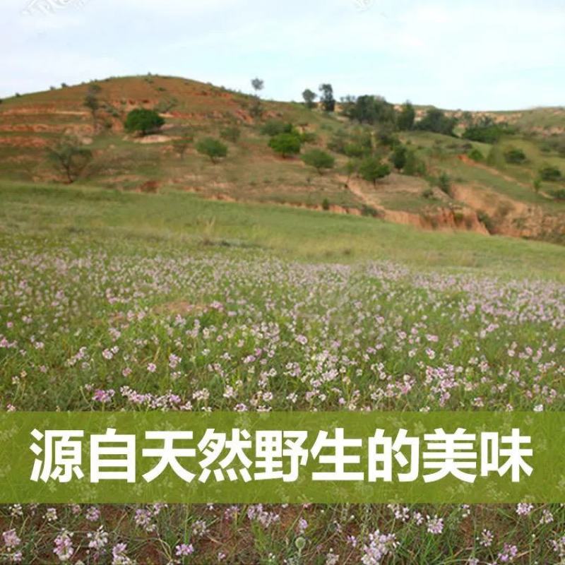山西特产麻麻花100克泽蒙摘麻花扎蒙花山葱麻麻花包邮