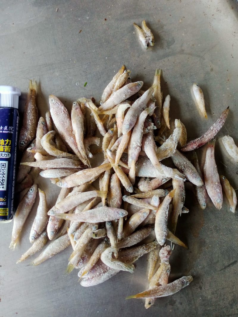 单冻小麦穗，单冻小麦穗，单冻小麦穗，单冻小麦穗