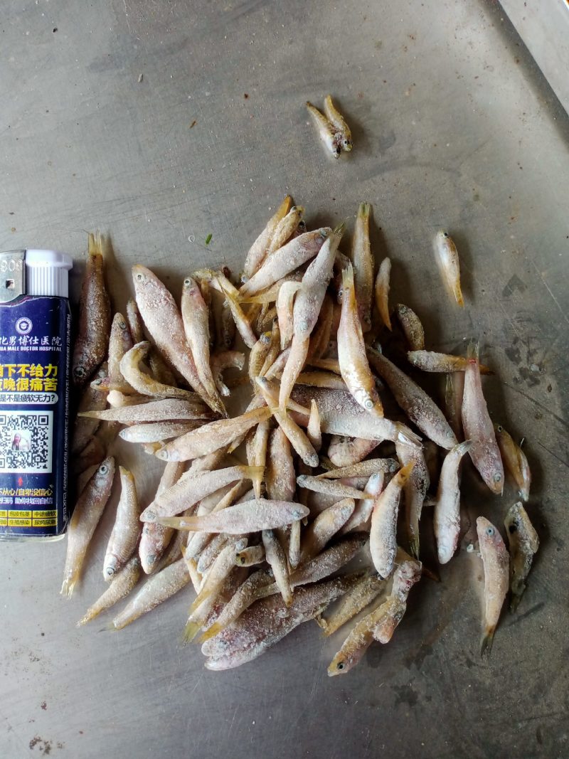 单冻小麦穗，单冻小麦穗，单冻小麦穗，单冻小麦穗