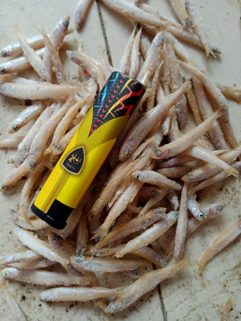 单冻小麦穗，单冻小麦穗，单冻小麦穗，单冻小麦穗