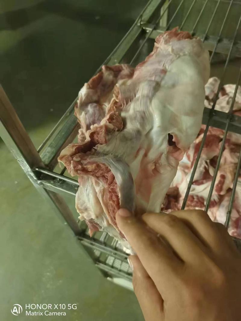 母猪护心肉有5.5吨，货在辽宁，新开检疫