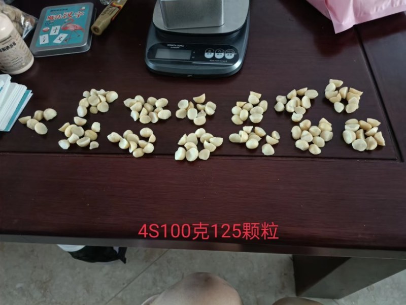 夏威夷果仁南非货源工厂直发品质保证诚信经营各规格都有