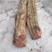 新鲜鸡血藤，大尺寸鸡血藤14公分以上，现砍现发