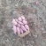 红薯商薯19产地直供大量上市口感好品种全欢迎客商采购。