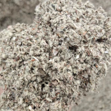 全国发货量大详谈质量保证中壳中绒新疆原产地直接发货。