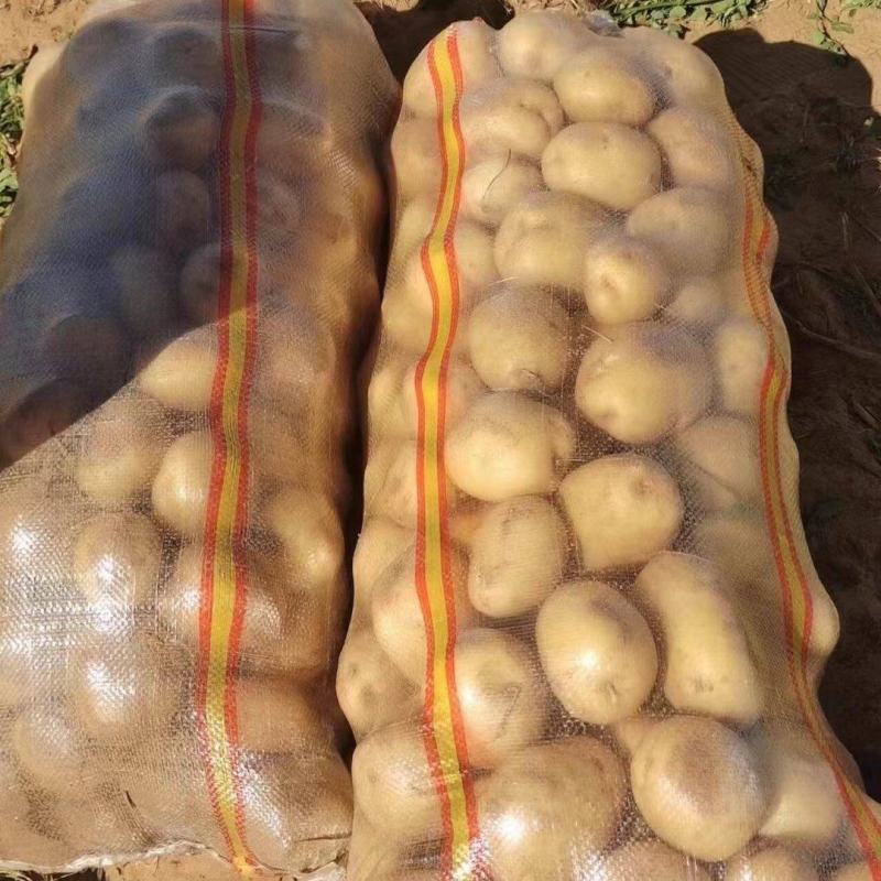 荷兰黄皮黄心中号土豆2到4，鲜货加工，无次品，全国发货