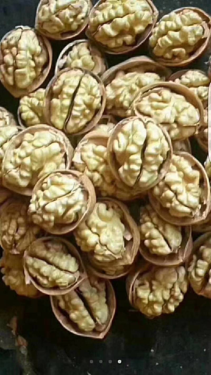 185新疆纸皮核桃老少皆宜诚信经营全国发货货源充足