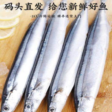 秋刀鱼码头直发船冻品质新鲜冷冻特大号，海鲜烧烤食材