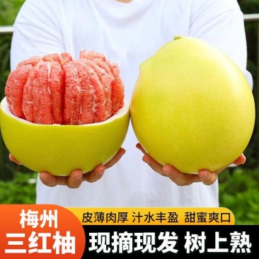 【实力】福建精品三红蜜柚大量有货，量大优惠保质保量