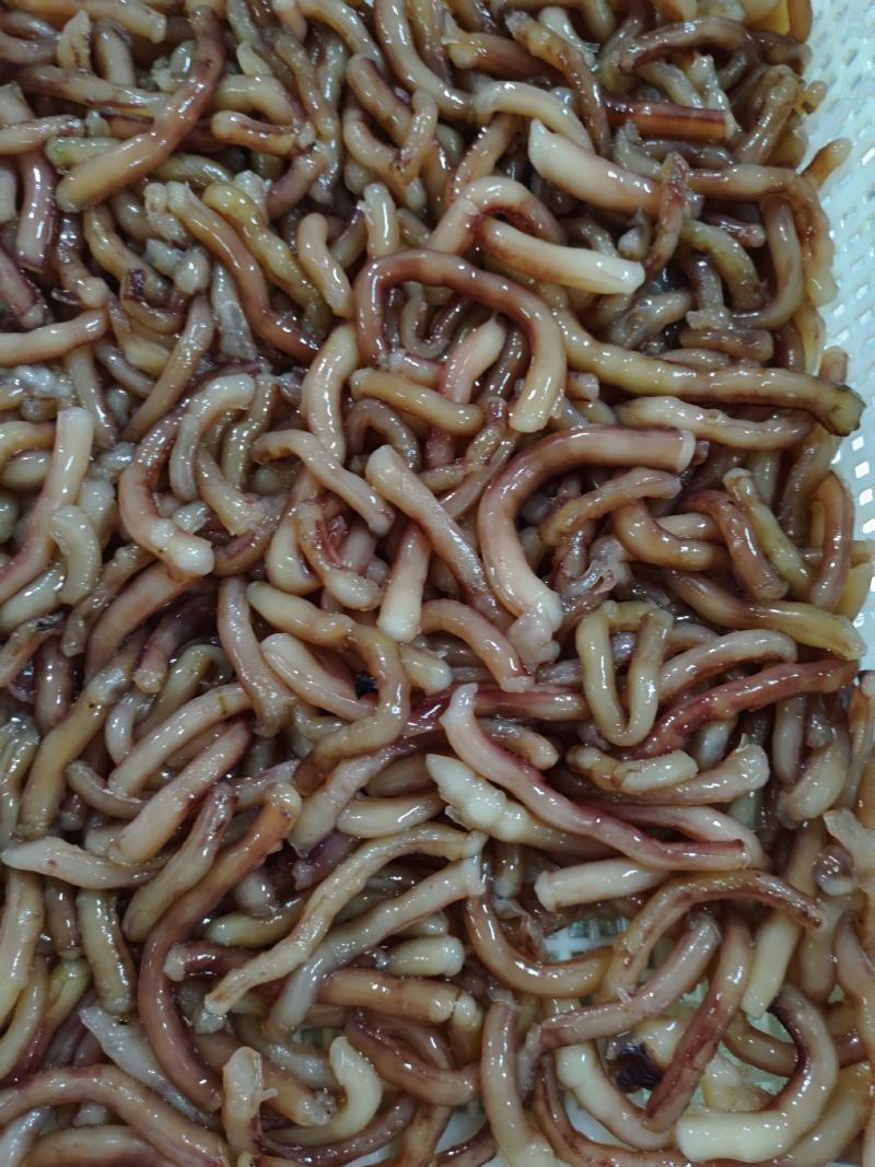 脆口鱿鱼水须段
