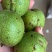 沂蒙山青皮核桃