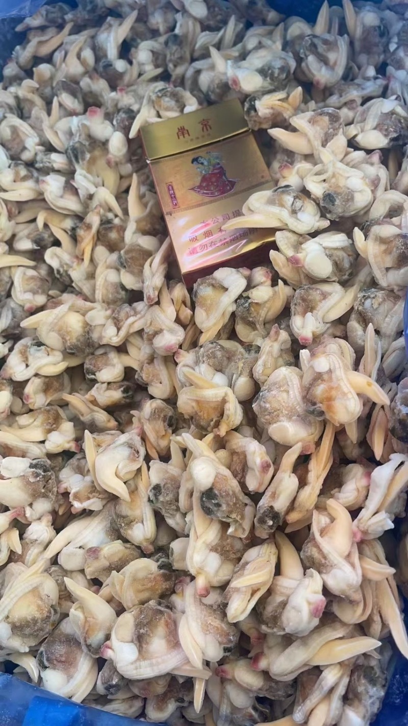 黄蚬子肉无沙无冰衣黄蛤蜊肉蛤蜊肉贝类海鲜冷冻海鲜