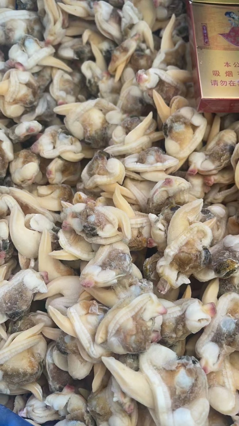 黄蚬子肉无沙无冰衣黄蛤蜊肉蛤蜊肉贝类海鲜冷冻海鲜