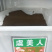 虞美人花种子混色冰岛美人四季开花多年生庭院造景阳台花卉