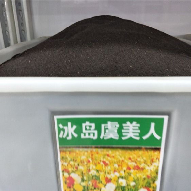 虞美人花种子混色冰岛美人四季开花多年生庭院造景阳台花卉