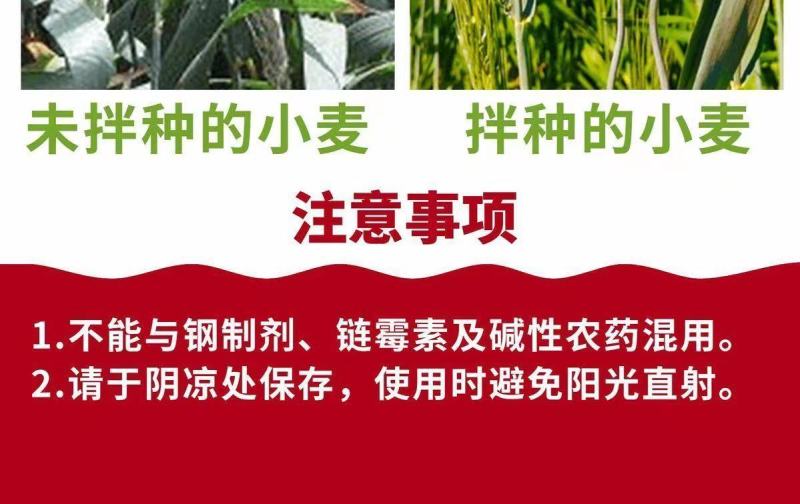 农用小麦拌种剂27%苯醚甲环唑咯菌腈噻虫嗪苯咯噻种衣剂