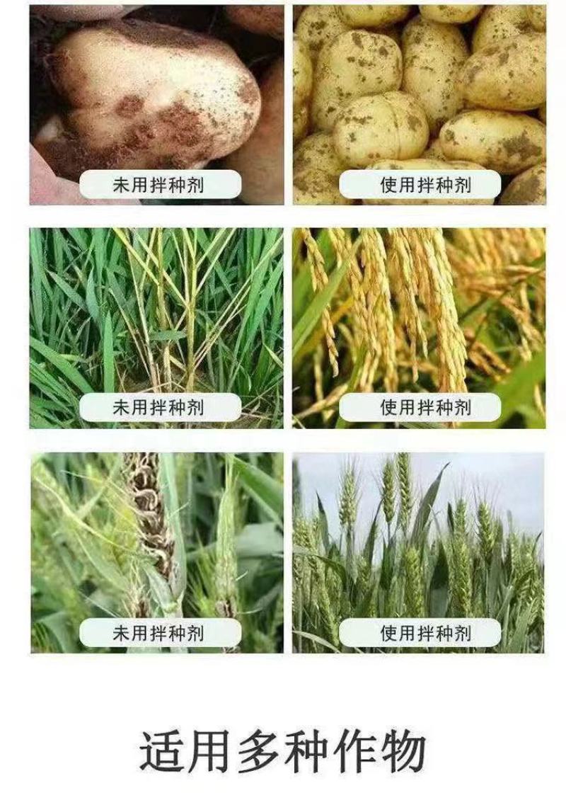 农用小麦拌种剂27%苯醚甲环唑咯菌腈噻虫嗪苯咯噻种衣剂
