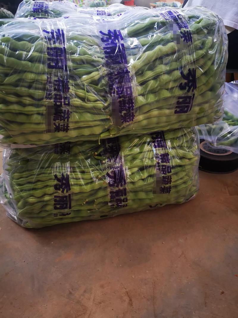 云南省弥勒市大量无筋豆，大青豆，红花豆毛豆，四季豆，棒豆