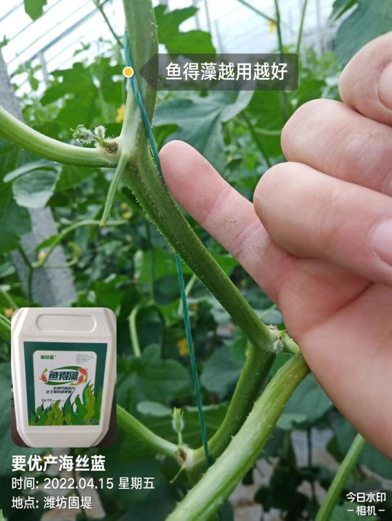 含腐植酸水溶肥，进口，海藻酸，鱼蛋白，调节土壤，抗冻抗旱