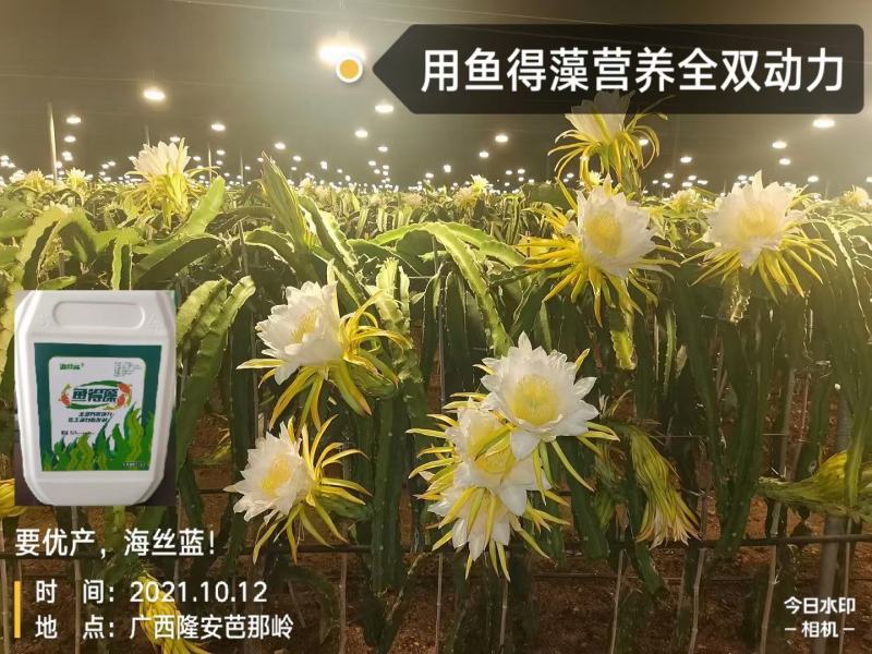 含腐植酸水溶肥，进口，海藻酸，鱼蛋白，调节土壤，抗冻抗旱