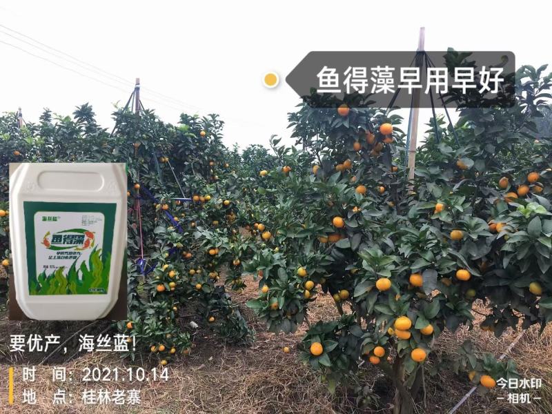 含腐植酸水溶肥，进口，海藻酸，鱼蛋白，调节土壤，抗冻抗旱