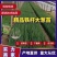 4忻州葱苗周口葱苗,银川葱苗,山东葱苗,南阳葱苗,大葱苗