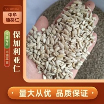 中牟油葵仁，保加利亚油葵仁食品厂用油葵仁