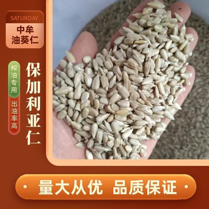中牟油葵仁，保加利亚油葵仁食品厂用油葵仁