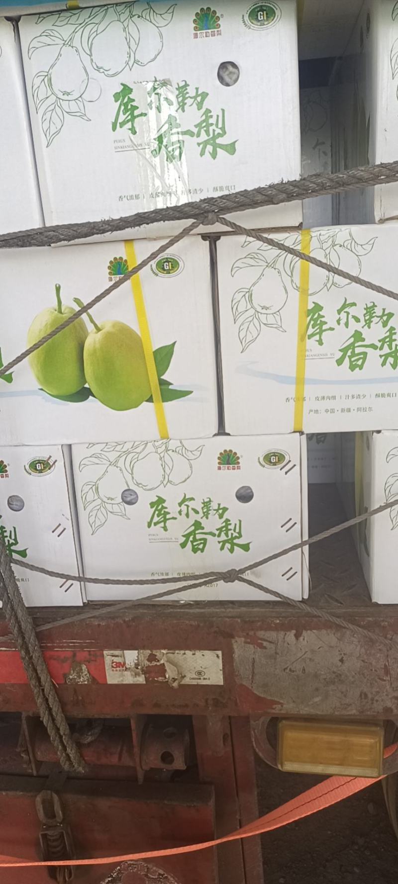库尔勒香梨