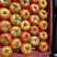 大红西红柿，产地直发，质量保证，支持看货