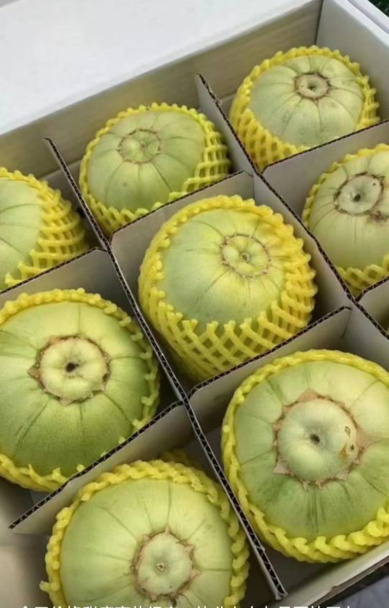 精品绿宝！欢迎客户品尝选购！