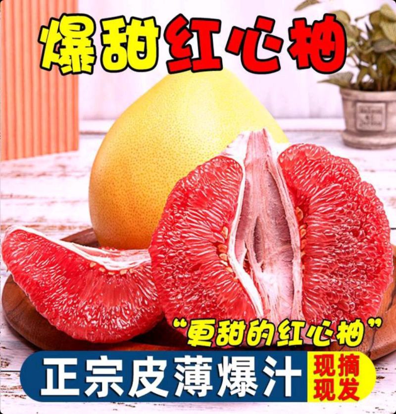 福建平和柚子供应电商社团。