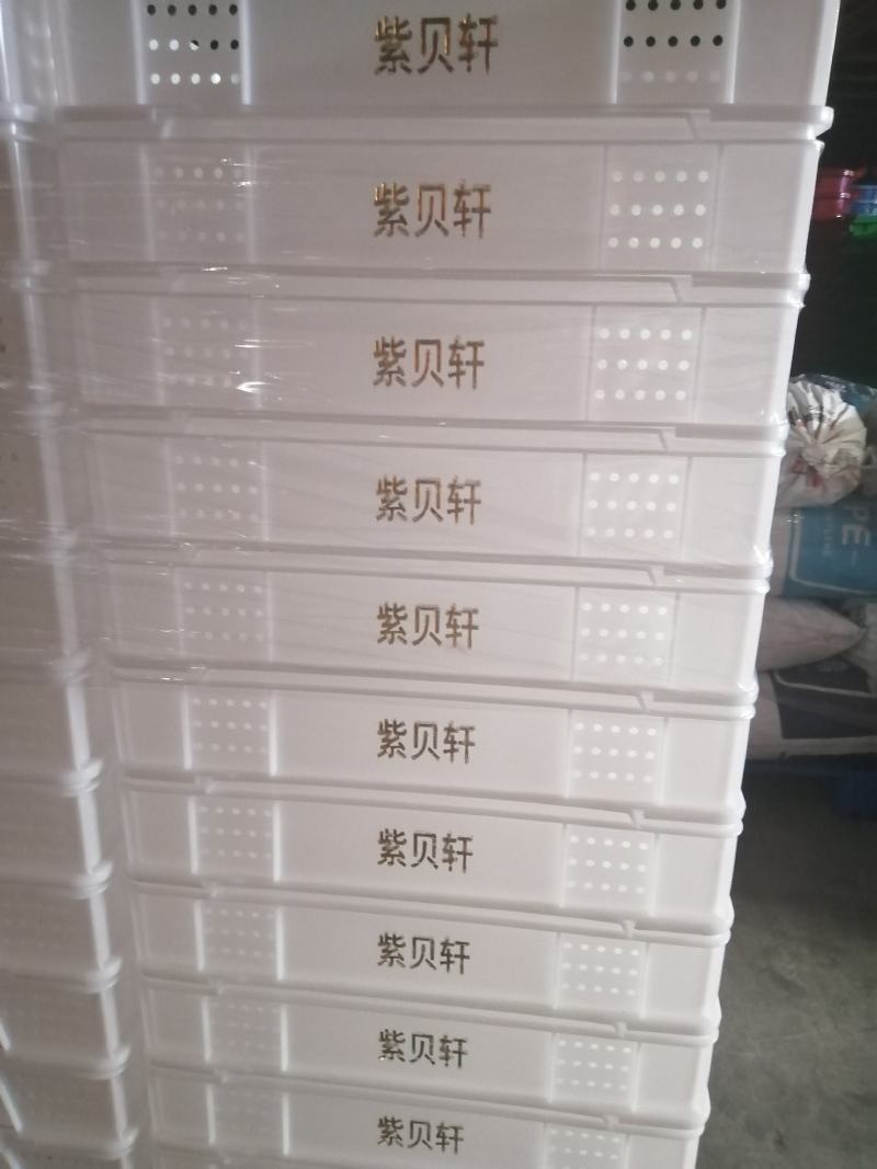 赛普供应575-250塑料周转箱工厂储存周转箱