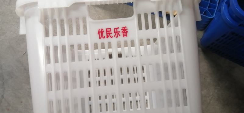 赛普供应575-350塑料周转箱工厂储存周转箱