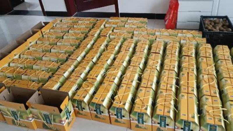 新鲜好吃的徐香猕猴桃上市了，现摘现发，甜糯多汁