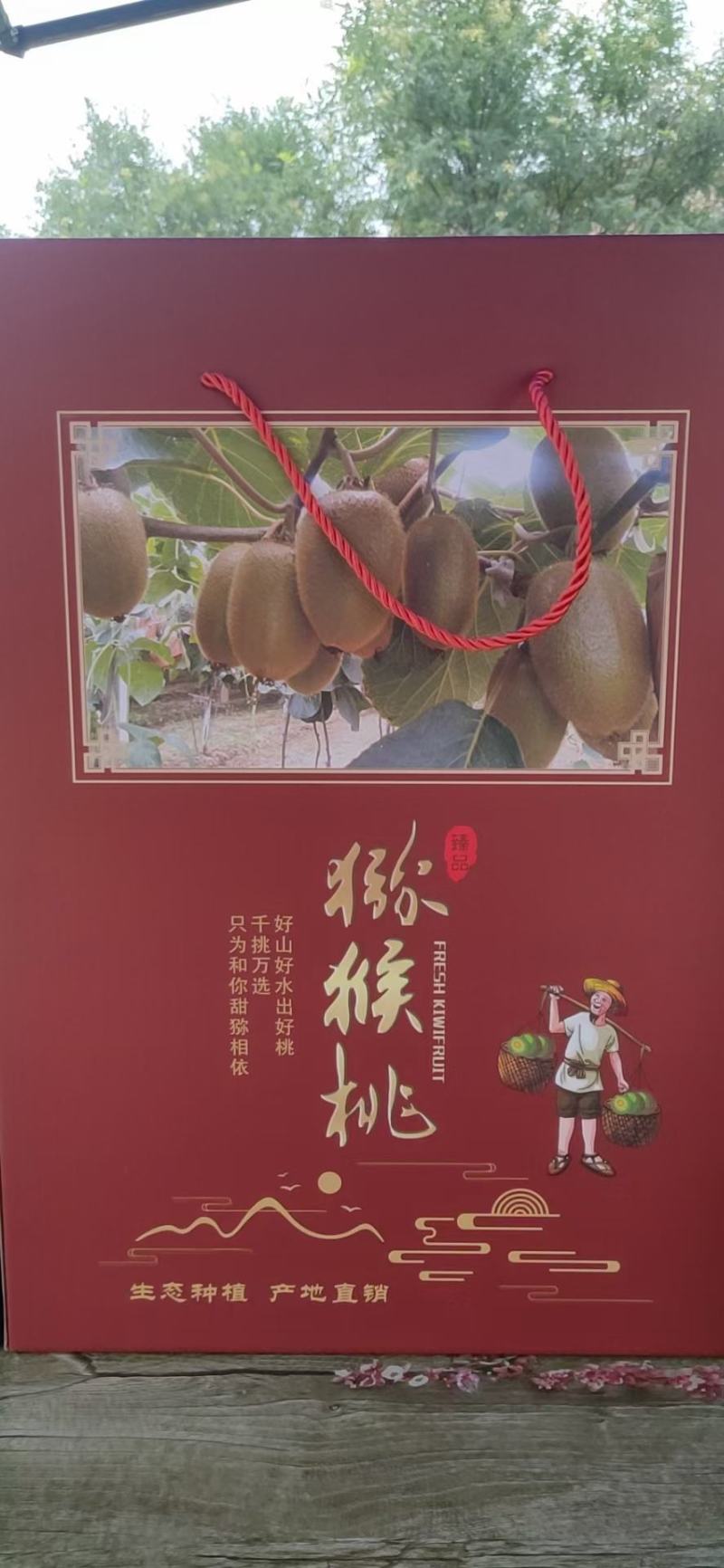 陕西眉县猕猴桃徐香猕猴桃大量上市产地直供一手货源