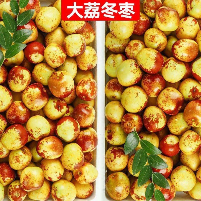 【精品】陕西大荔县冬枣大量有货，口感脆甜新鲜采摘欢迎选购