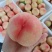【牛商优选】陕西大荔县毛桃，口感好，价格优，致电优惠