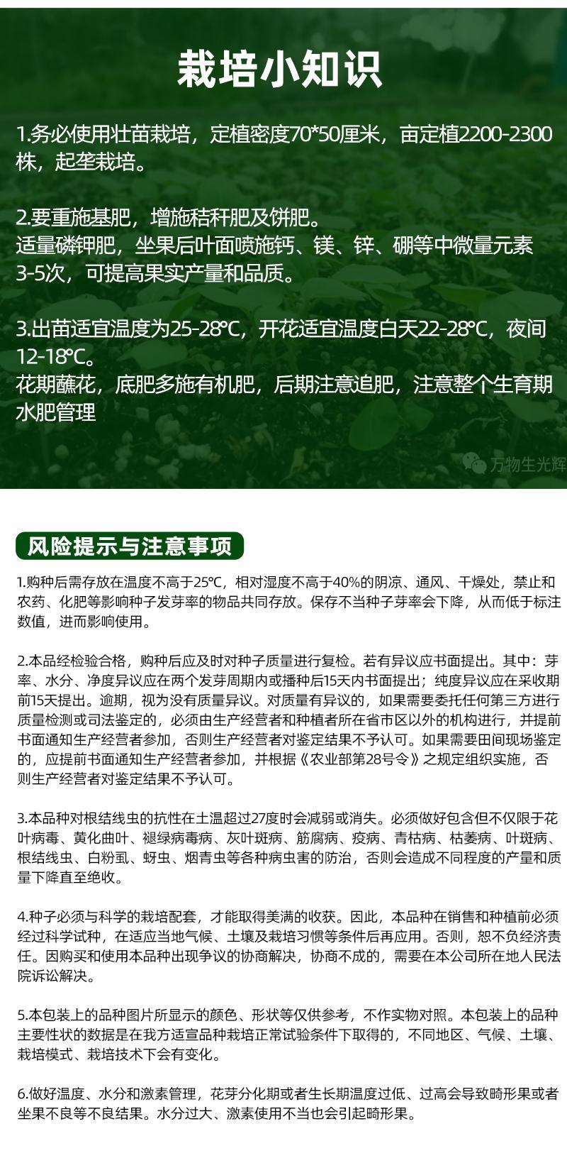 黑圆茄子种子早熟茄子种子果实正圆杂交大果皮黑适应性强蔬菜