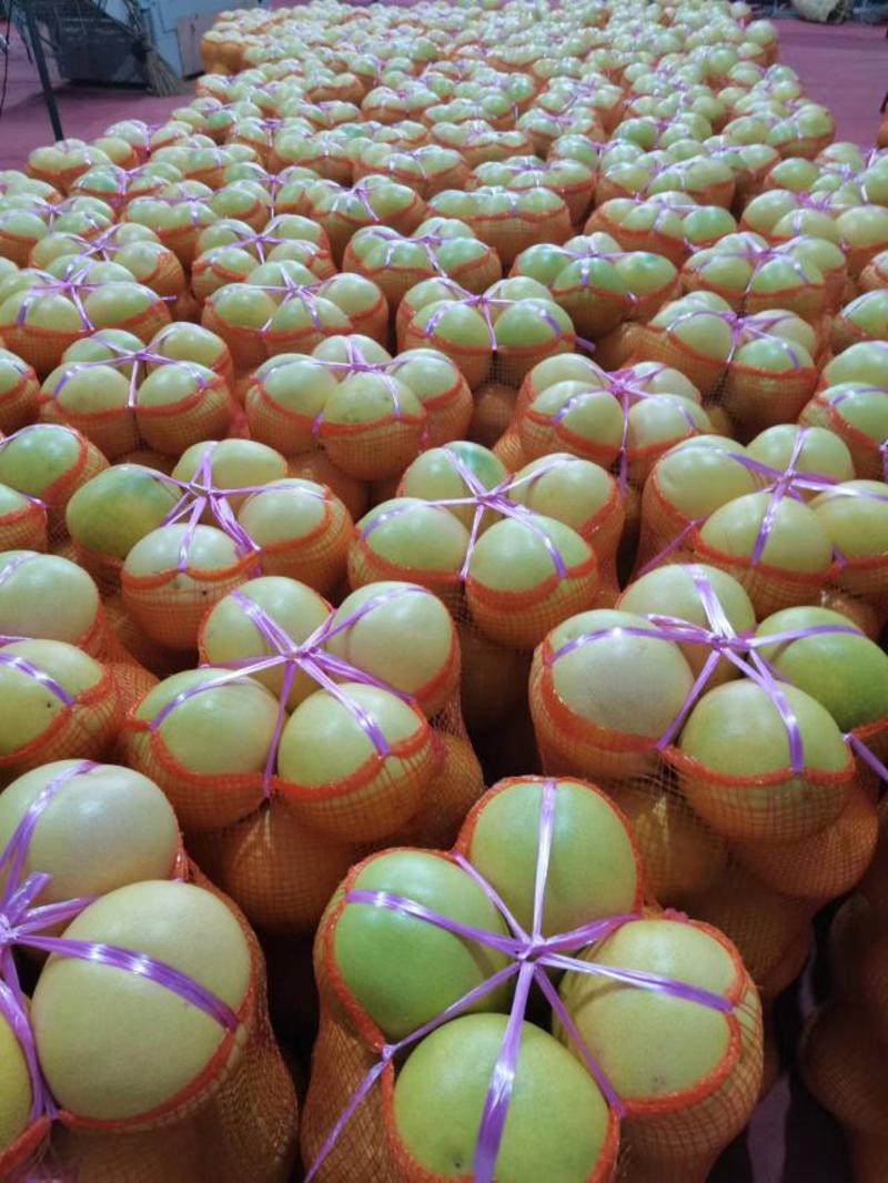 柚子密柚品种齐全现摘现发量大质优一条龙服务