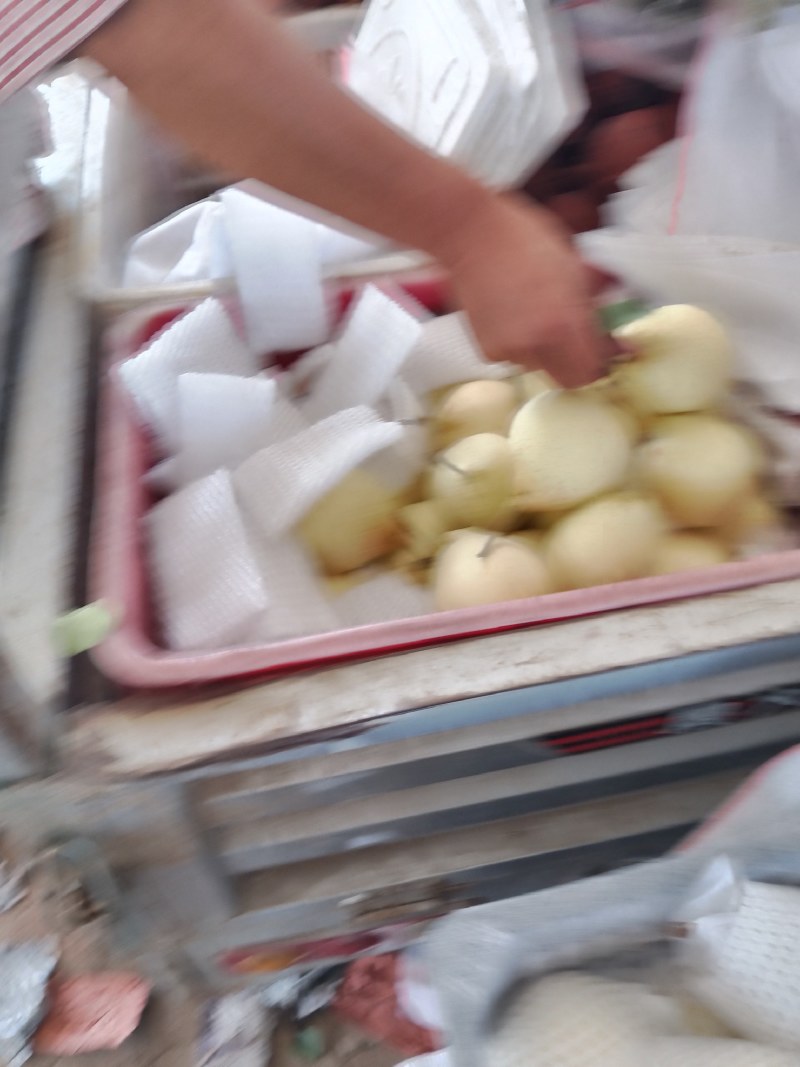 鸭梨