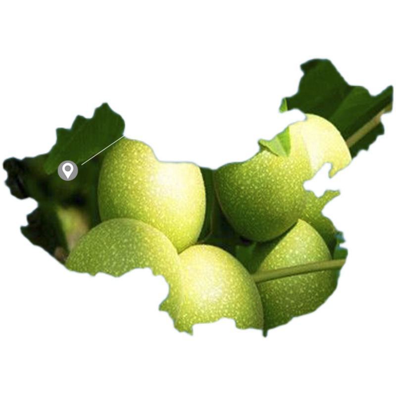 新货原味核桃仁500g大颗粒新鲜去皮核桃仁熟生核桃仁纸皮