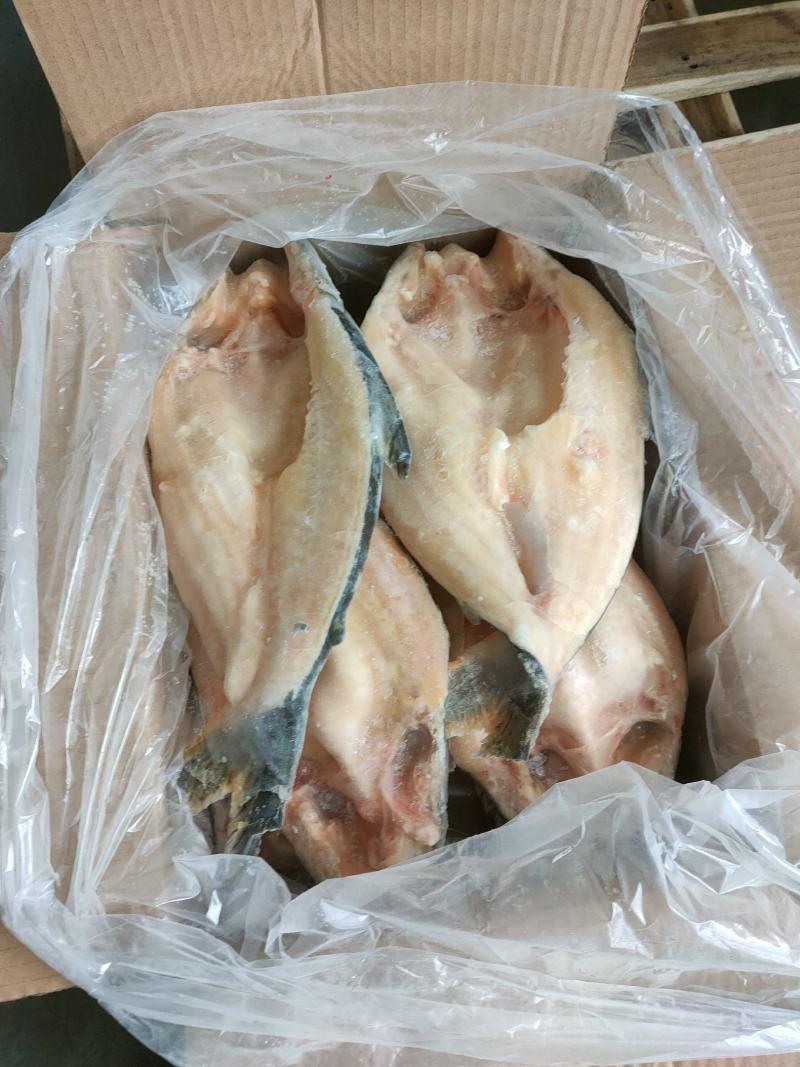 开背巴沙鱼，工厂直批，6条至15条全规格，14斤/件