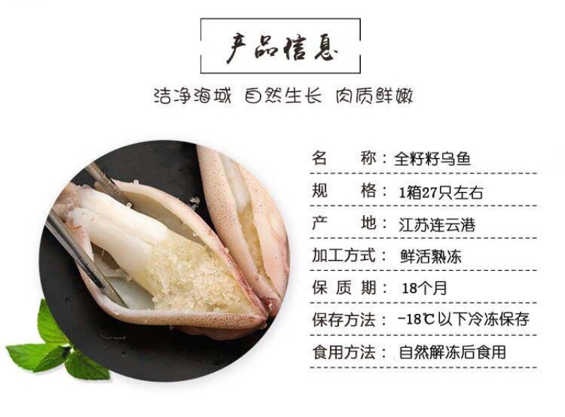 籽乌乌贼全籽海兔批发