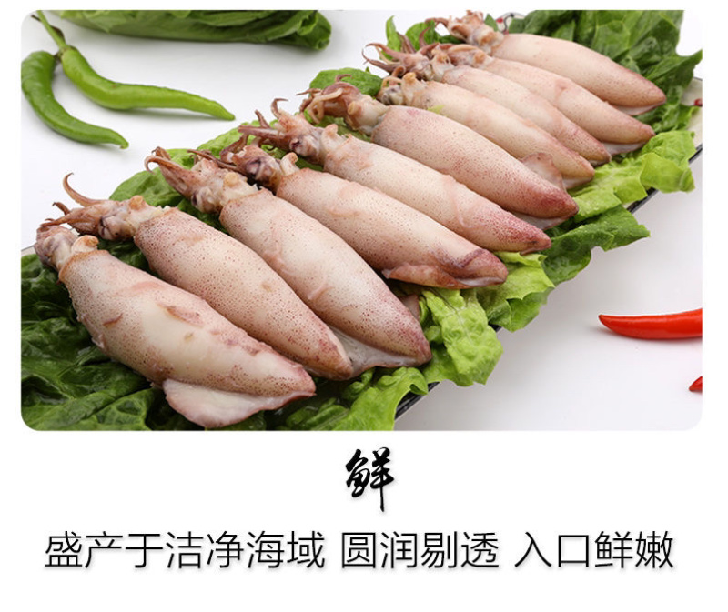 籽乌乌贼全籽海兔批发