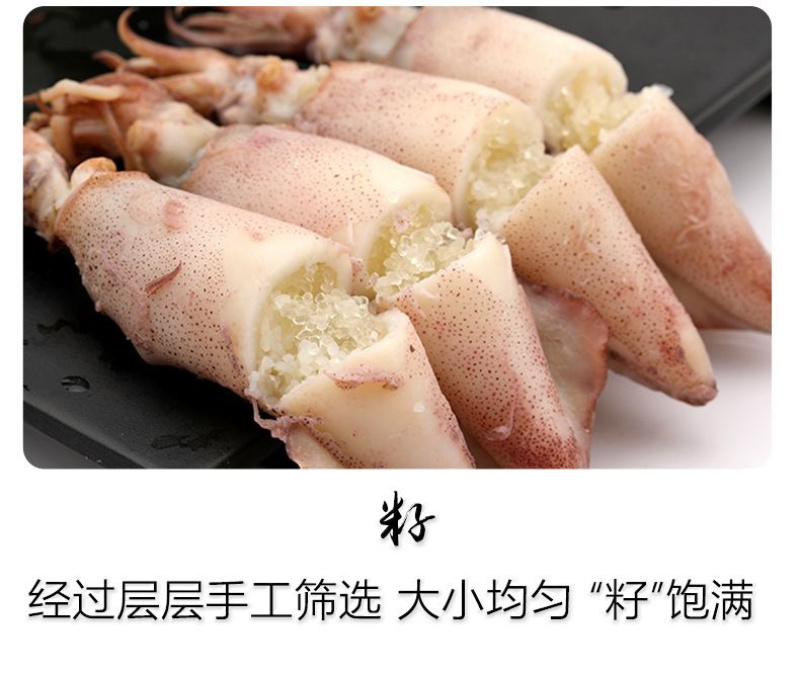 籽乌乌贼全籽海兔批发