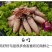 籽乌乌贼全籽海兔批发