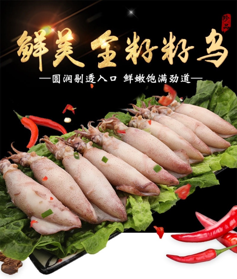 籽乌乌贼全籽海兔批发